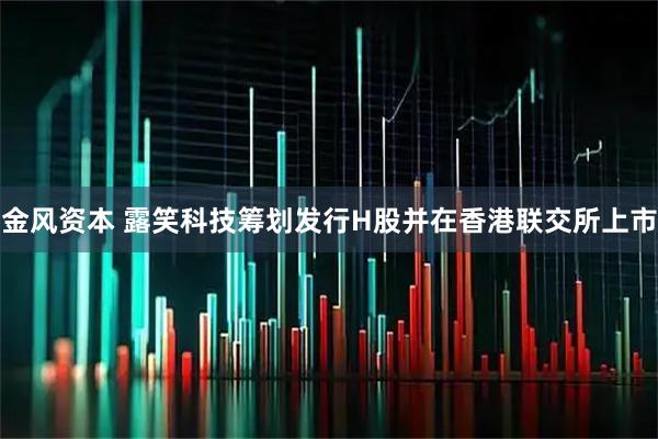 金风资本 露笑科技筹划发行H股并在香港联交所上市
