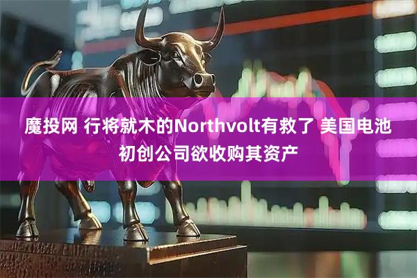 魔投网 行将就木的Northvolt有救了 美国电池初创公司欲收购其资产
