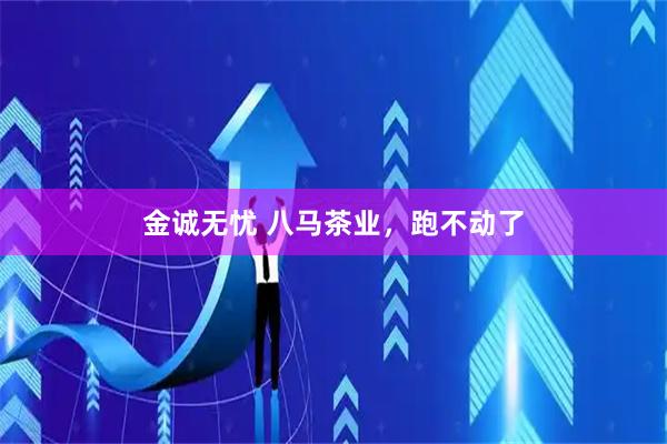金诚无忧 八马茶业，跑不动了