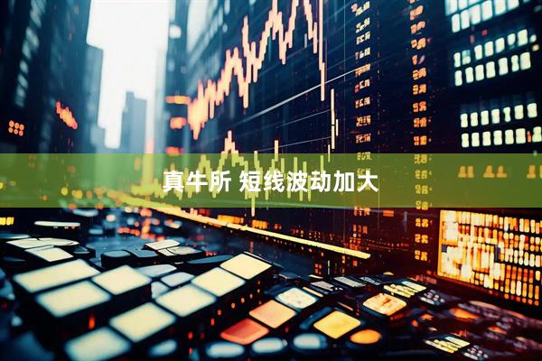 真牛所 短线波动加大