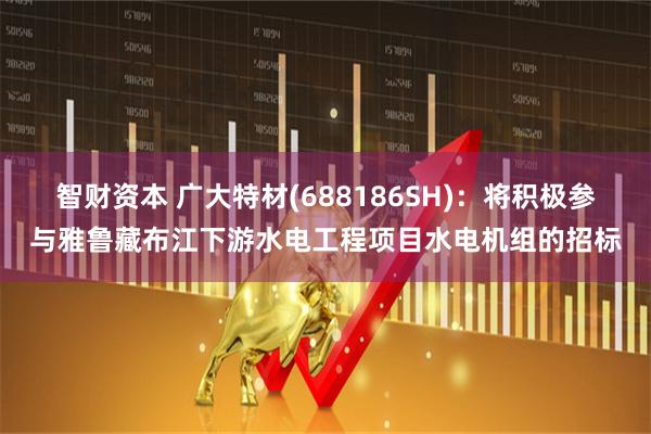 智财资本 广大特材(688186SH)：将积极参与雅鲁藏布江下游水电工程项目水电机组的招标
