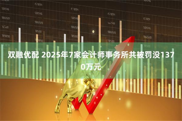 双融优配 2025年7家会计师事务所共被罚没1370万元